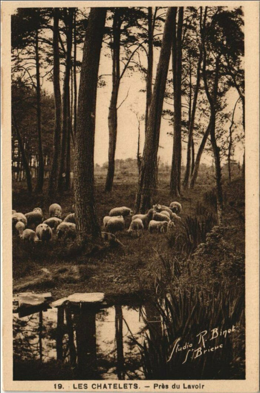 Carte postale ancienne Les Chatelets - Pres du Lavoir