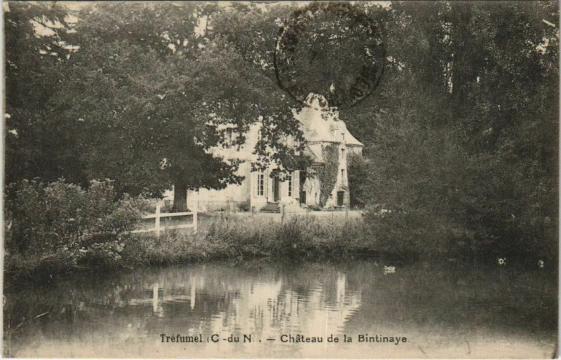 Carte postale ancienne Trefumel Chateau de la Bintinaye