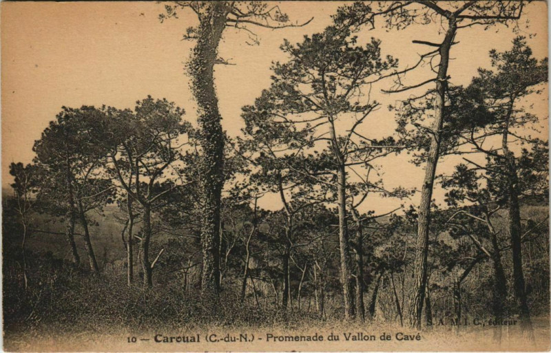 Carte postale ancienne Caroual Promenade du Vallon de Cave