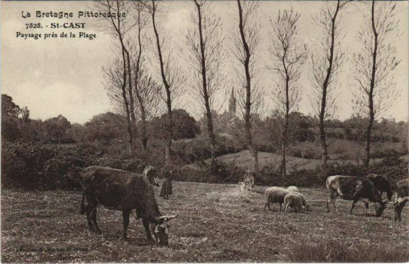 Carte postale ancienne Saint-Cast Paysage pres de la Plage