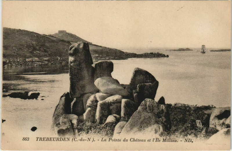 Carte postale ancienne Trebeurden La Pointe du Chateau et l'Ile Milliau