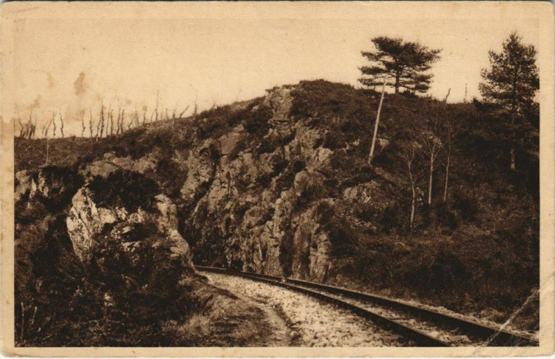 Carte postale ancienne Plemet Les Rochers d'Elouvry France