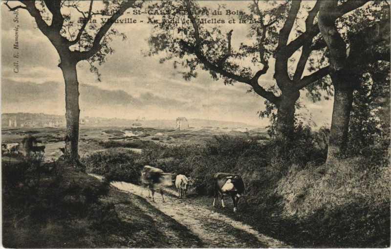 Carte postale ancienne Au fond les Mielles et la Mer France