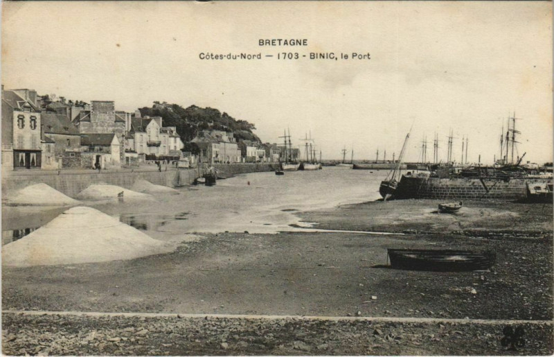 Carte postale ancienne Binic Le Port France