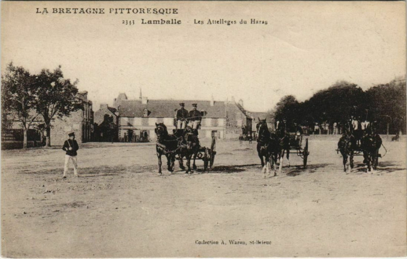 Carte postale ancienne Lamballe Les Attellages du Haras France