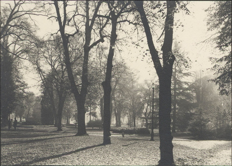 Carte postale ancienne Carte postale, Epinal, Parc du Cours 2