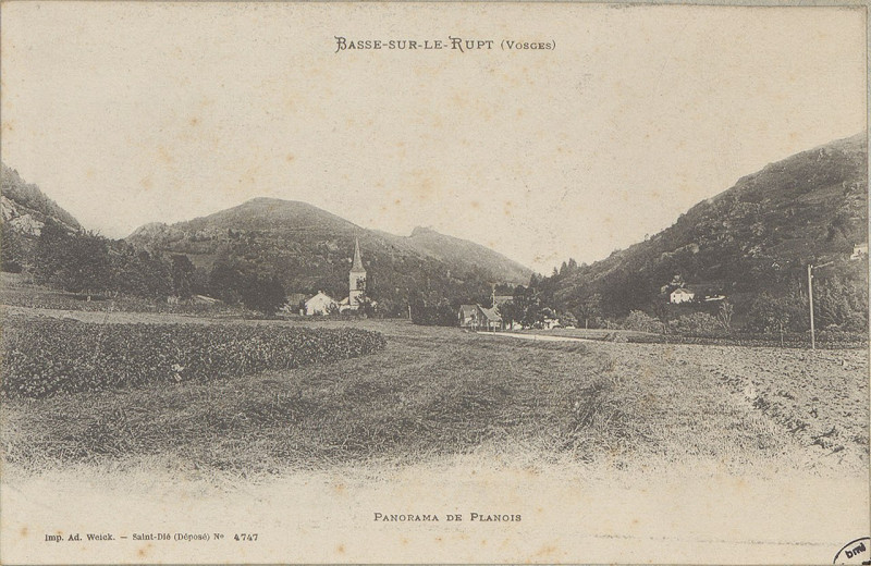 Carte postale ancienne Carte postale, Basse-sur-le-Rupt (Vosges), Panorama de Planois
