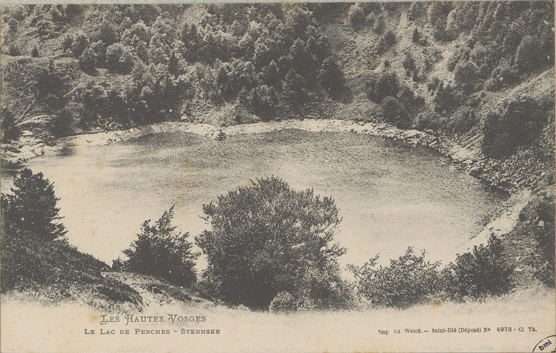 Carte postale ancienne Carte postale, Le lac de Perches - Sternsee