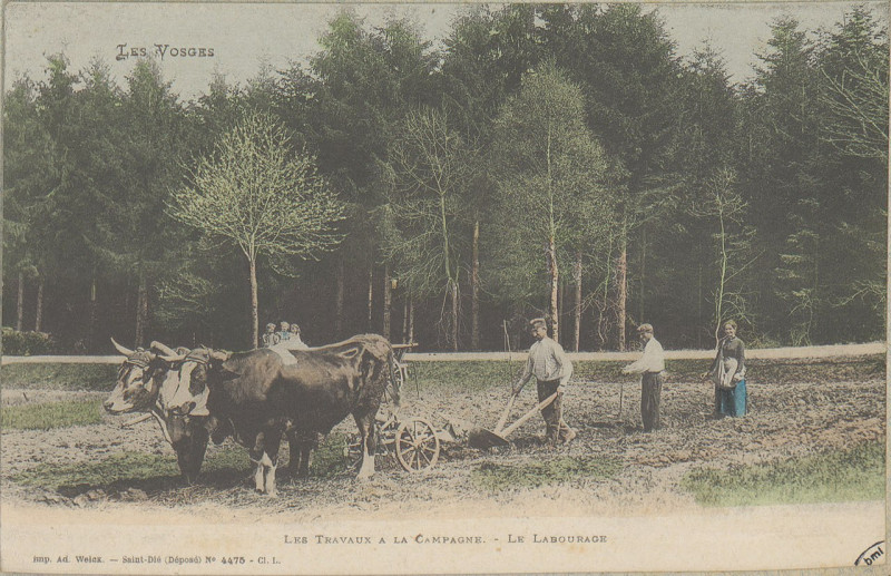 Carte postale ancienne Carte postale, Les Travaux à la campagne - Le Labourage