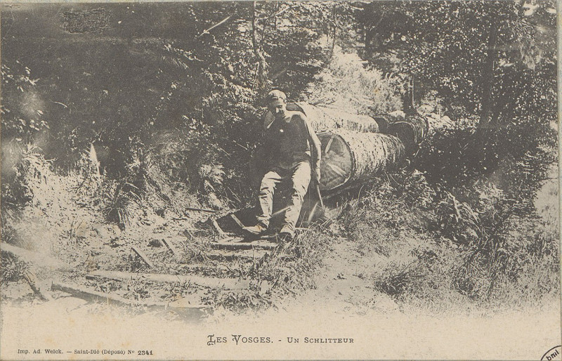 Carte postale ancienne Carte postale, Un Schlitteur