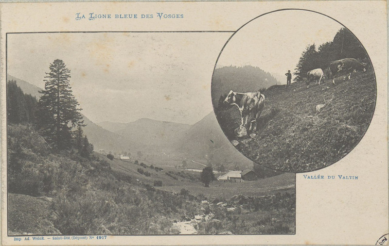 Carte postale ancienne Carte postale, Vallée du Valtin