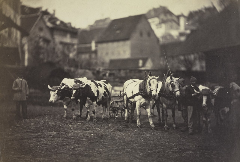 Carte postale ancienne Adolphe Braun - Untitled (Farm Animals) - 1991.162 - Cleveland Museum of Art