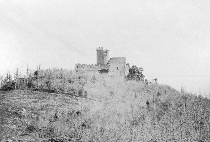 Carte postale ancienne Burg Hohrappoltstein Adolphe Braun