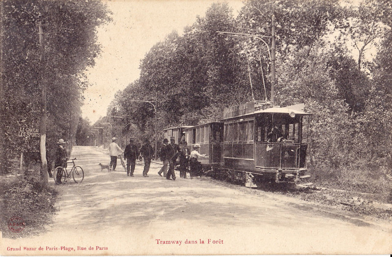 Carte postale ancienne Grand bazar de Paris-Plage - Tramway dans la Foret au Touquet-Paris-Plage