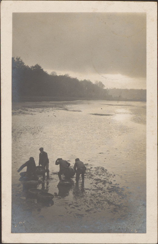 Carte postale ancienne Carte postale, Chantraine, Etang 2