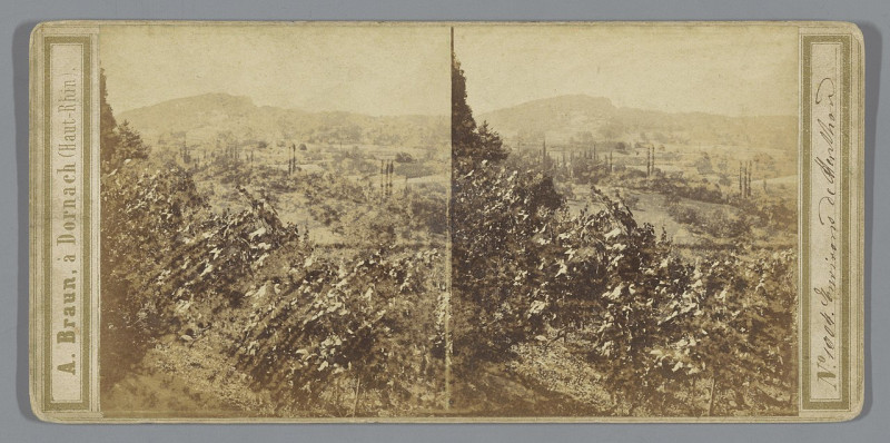 Carte postale ancienne Landschap nabij Menton, Frankrijk Environs de Menthon (titel op object), Rp-F-F06328