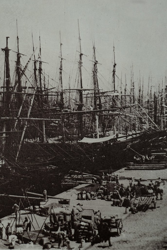 Carte postale ancienne Port de Marseille 1855 Adolphe Braun