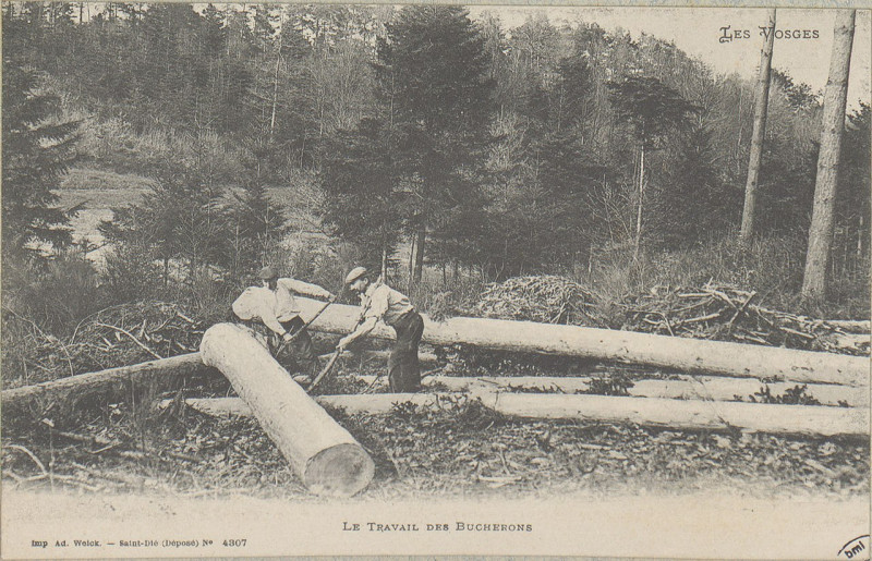 Carte postale ancienne Carte postale, Le Travail des bûcherons