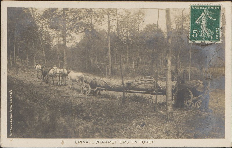 Carte postale ancienne Carte postale, Epinal, Charretiers en forêt