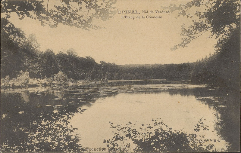 Carte postale ancienne Carte postale, Epinal, Nid de Verdure, L'Etang de la Comtesse