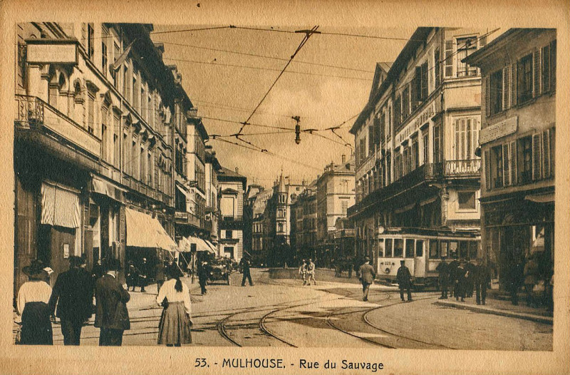 Carte postale ancienne Cigogne 53 - Mulhouse - Rue du Sauvage à Mulhouse