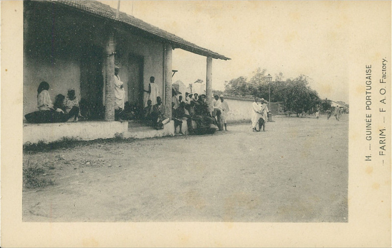 Carte postale ancienne Dc - Dal No 14 - Guinée Portugaise - Farim - F.A.O. Factory