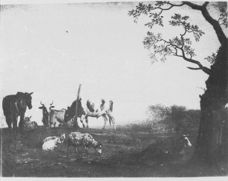 Carte postale ancienne Gemäldegalerie Alte Meister (Dresden) Galeriewerk Braun 1530