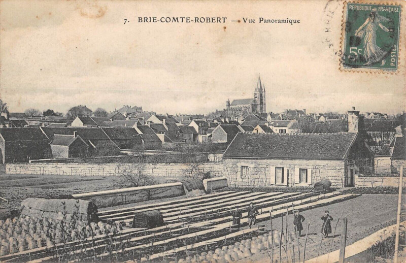 Carte postale ancienne Brie Comte Robert Vue Panoramique à Brie-Comte-Robert