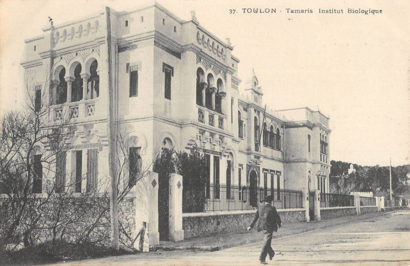 Carte postale ancienne Toulon Tamaris Institut Biologique à Toulon