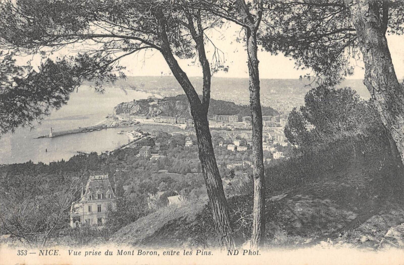 Carte postale ancienne Nice Vue Prise Du Mont Boron Entre Les Pins à Nice