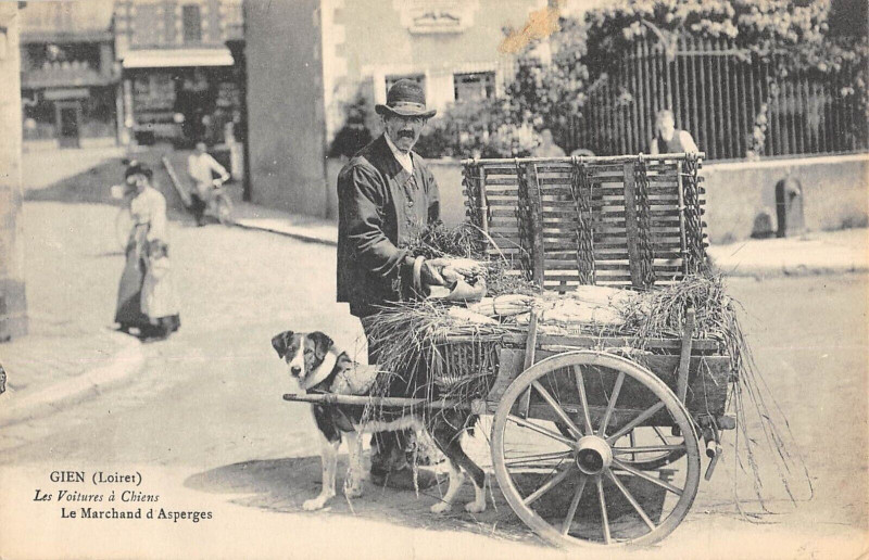 Carte postale ancienne Gien Les Voitures A Chiens Le Marchand D'Asperges (attelage chien Metier à Gien
