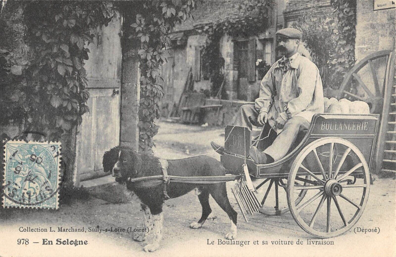 Carte postale ancienne En Sologne Le Boulanger Et Sa Voiture De Livraison (attelage chien Metier à Bou