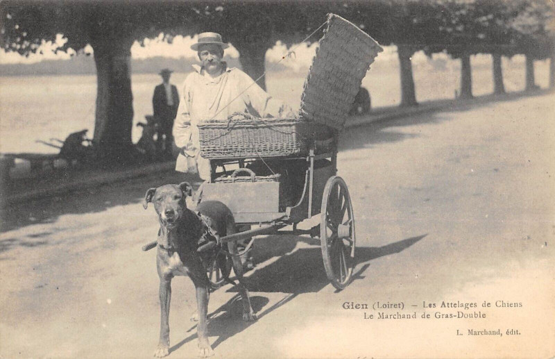 Carte postale ancienne Gien Les Attelages De Chiens Le Marchand De Gras Double (attelage chien à Gien
