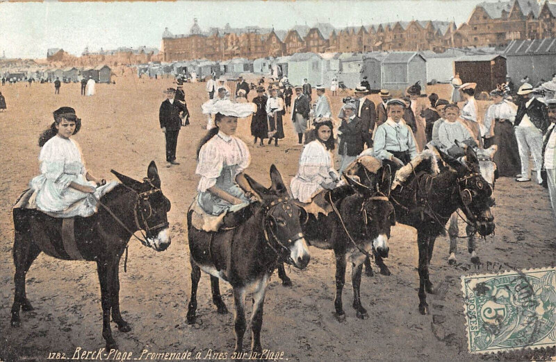 Carte postale ancienne Berck Plage Promenade A Anes Sur La Plage à Berck