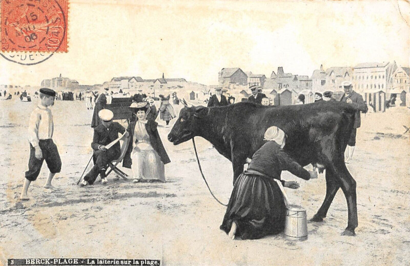 Carte postale ancienne Berck Plage La Laiterie Sur La Plage à Berck