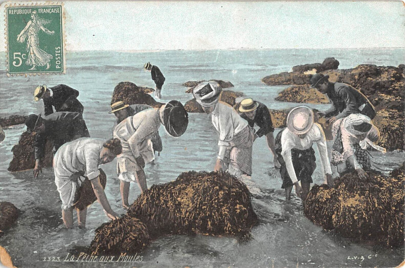 Carte postale ancienne La Peche Aux Moules