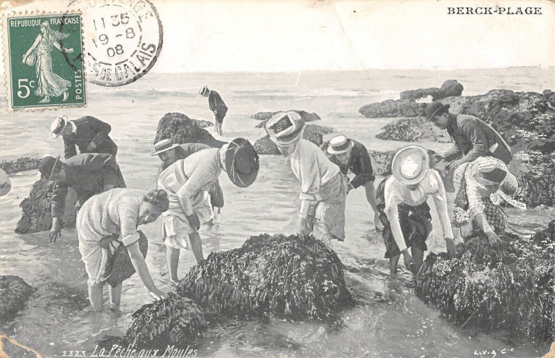 Carte postale ancienne Berck Plage La Peche Aux Moules à Berck