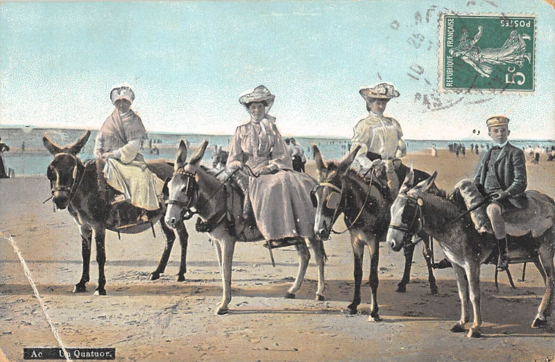 Carte postale ancienne Un Quator Anes