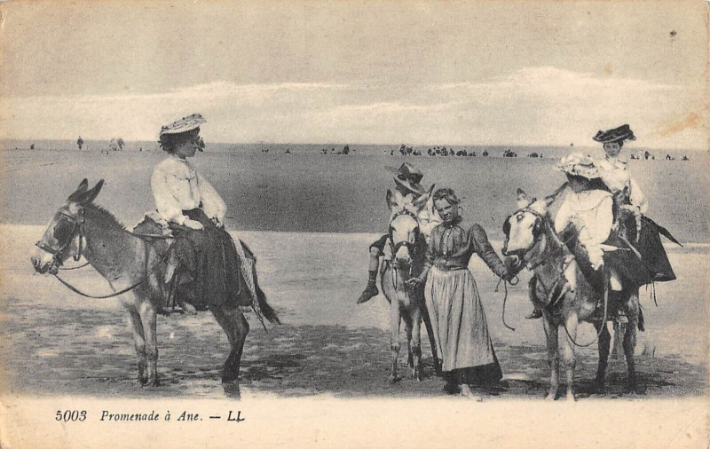 Carte postale ancienne Promenade A Ane