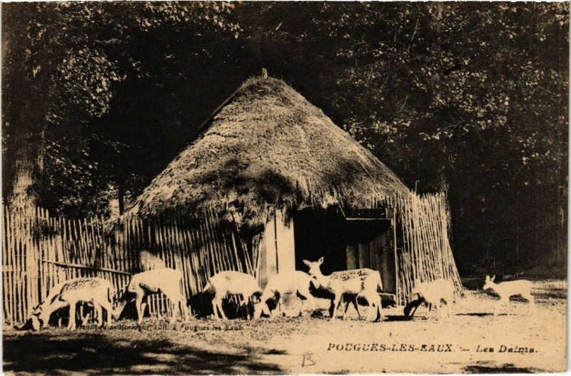 Carte postale ancienne Pougues-les-Eaux - Les Daims à Pougues-les-Eaux