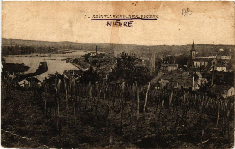Carte postale ancienne Saint-Leger-des-Vignes