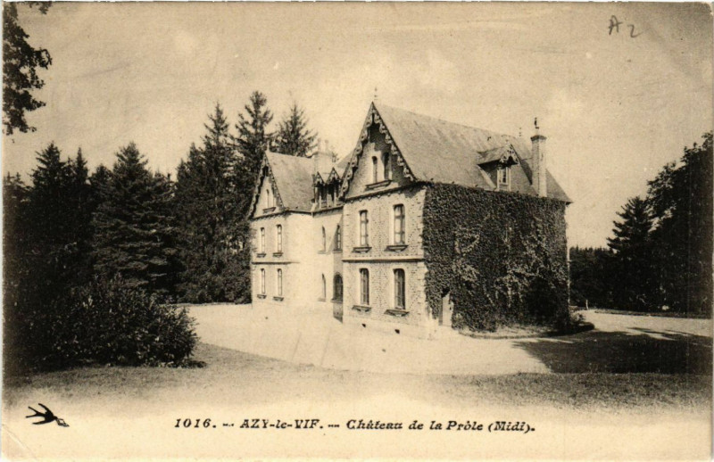 Carte postale ancienne Azy-le-Vif - Chateau de la Prole à Azy-le-Vif
