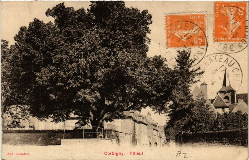Carte postale ancienne Corbigny - Tilleul à Corbigny