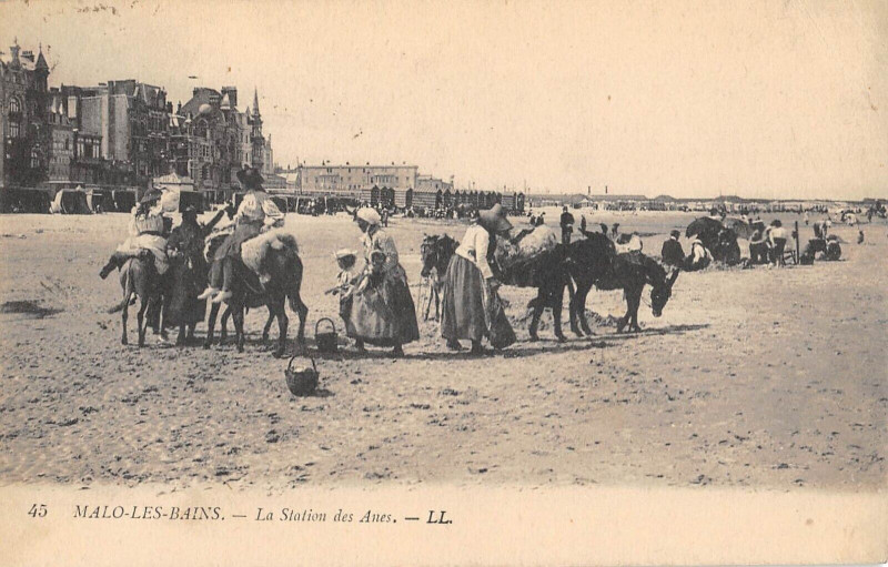 Carte postale ancienne Malo Les Bains La Station Des Anes