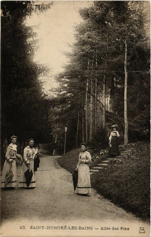 Carte postale ancienne Saint-Honore-les-Bains - Allée des Pins
