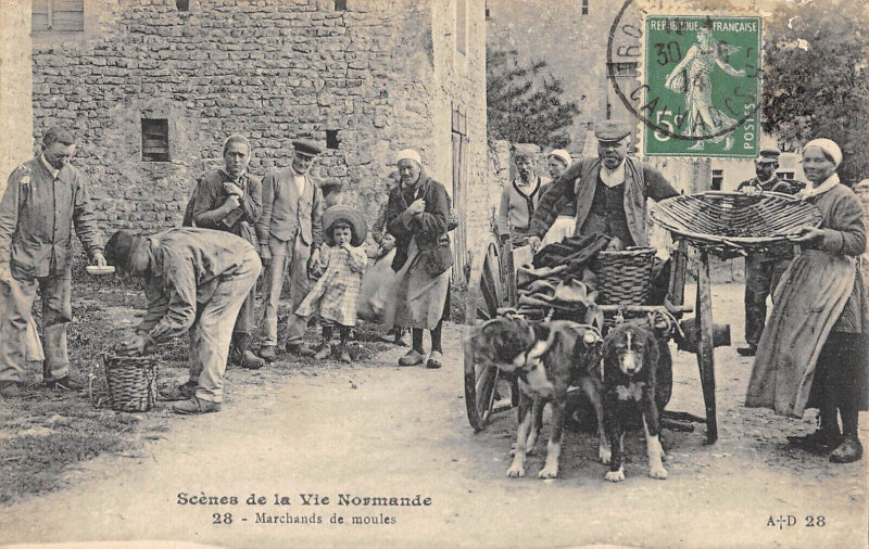 Carte postale ancienne Scenes De La Vie Normande Marchands De Moules ( Attelage Chien