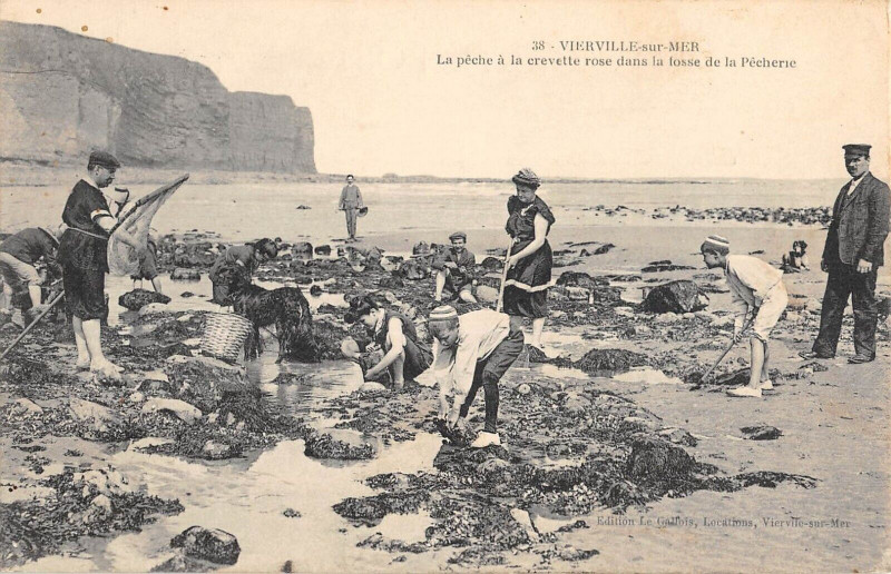 Carte postale ancienne Vierville Sur Mer La Peche A La Crevette Rose Dans La Fosse De La Pecheri à Vierville-sur-Mer