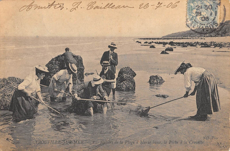 Carte postale ancienne Trouville Sur Mer Les Plaisirs De La Plage A Maree Basse Peche A La Creve à Trouville-sur-Mer