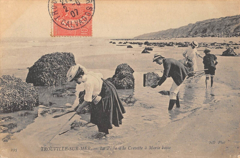 Carte postale ancienne Trouville Sur Mer La Peche A La Crevette A Maree Haute à Trouville-sur-Mer
