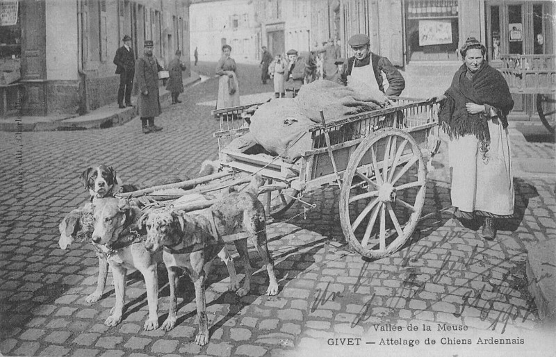 Carte postale ancienne Vallee De La Meuse Givet Attelage De Chiens Ardennais (attelage chien à Givet